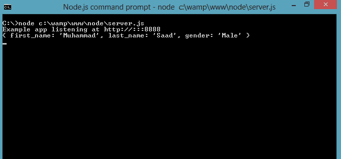 Node JS Express Command Prompt