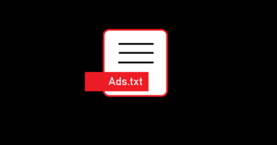 How to add and manage ads.txt file for WordPress Website